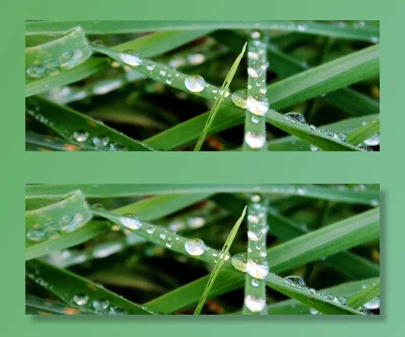 草，绿色，雨滴，滴灌，关闭，性质，草地