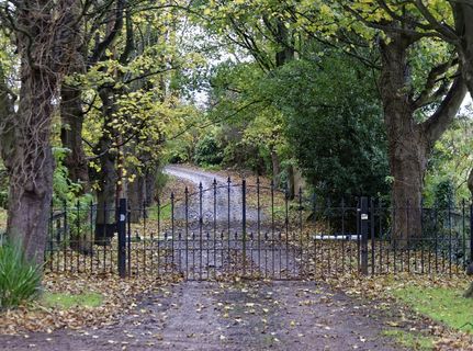 车道，乡间小路，道路，车道，乡村，景观