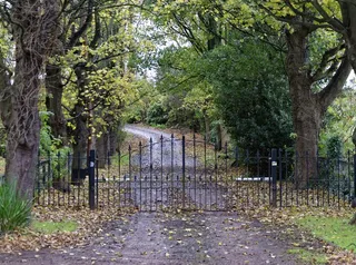 车道，乡间小路，道路，车道，乡村，景观