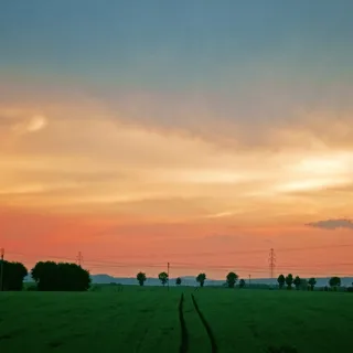 景观，天空，晚上，场，绿色，草地，春天