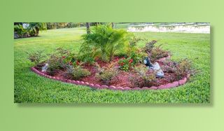 花园，鲜花，自然，绿色，夏天，植物，开花