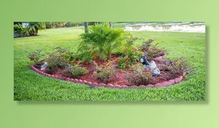 花园，鲜花，自然，绿色，夏天，植物，开花