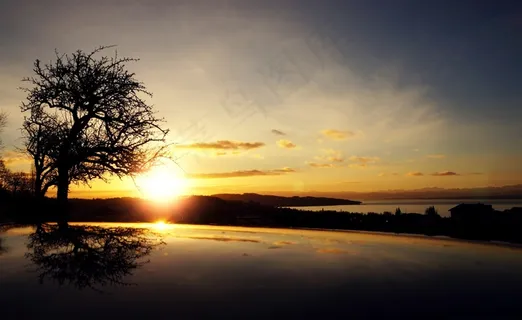 树,天空,霞光,海洋,湖泊,夕阳与湖上的树 树,天空,霞光,海洋,湖泊,夕阳与湖上的树