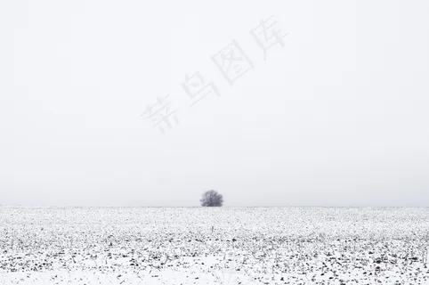 冬天，风景，弗罗斯特，雪，孤独，忧郁