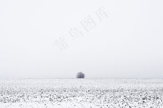 冬天，风景，弗罗斯特，雪，孤独，忧郁
