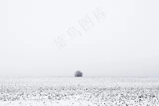 冬天，风景，弗罗斯特，雪，孤独，忧郁