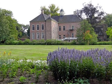 荷兰，房子，首页，建筑，夏天