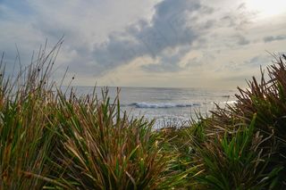 长礁，悉尼，澳大利亚，海洋，大海，海滩