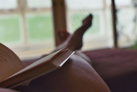 书，阅读，腿