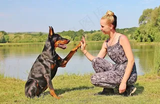 女人，狗，帕西，爪子，业余爱好，宠物，杜宾犬