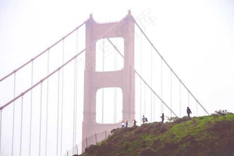 桥梁,居民楼,树,窗户,墙,金门大桥