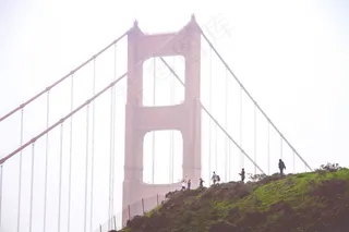 桥梁,居民楼,树,窗户,墙,金门大桥