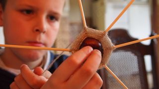 男孩，修补匠，想要，栗子，金，手表