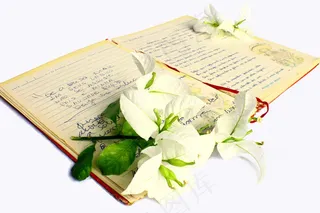 诗歌，诗经，浪漫主义，旧笔记本