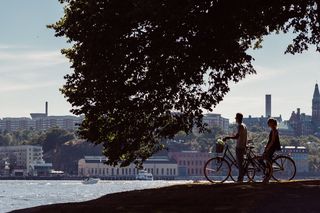 现代建筑,树,街道,摩托车,洛桑,单车