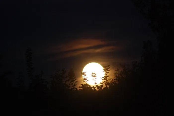 月亮，夜晚，天空，满，黑暗，月光，剪影