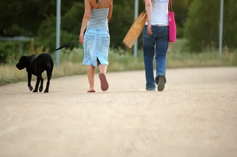 狗，步行，女人，宠物，步行，女装，女性，皮带