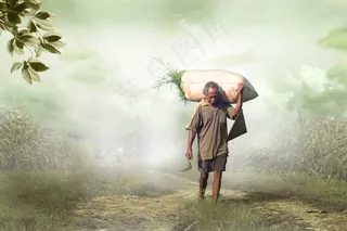 爷爷，老，牧羊人，电梯，草，饲料，自然