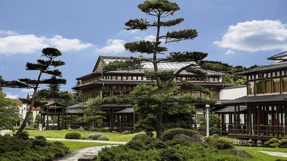 日语，花园，德国图林根，Bad Langensalza，植物