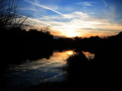 湖，Badesee，拉伸，树，日落，美丽，天空