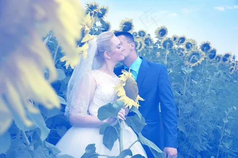 婚礼,花,爱情,婚姻,一对,宝丽来 婚礼,花,爱情,婚姻,一对,宝丽来