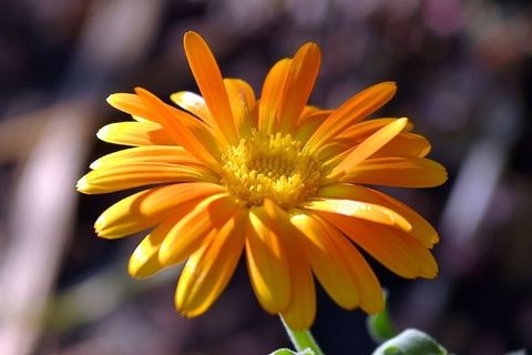 你在开除我们的杂草吗？