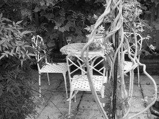 花园，桌子，椅子，园艺，自然，户外