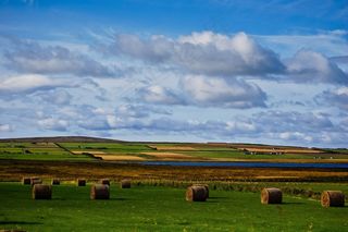 景观，苏格兰，天空，干草