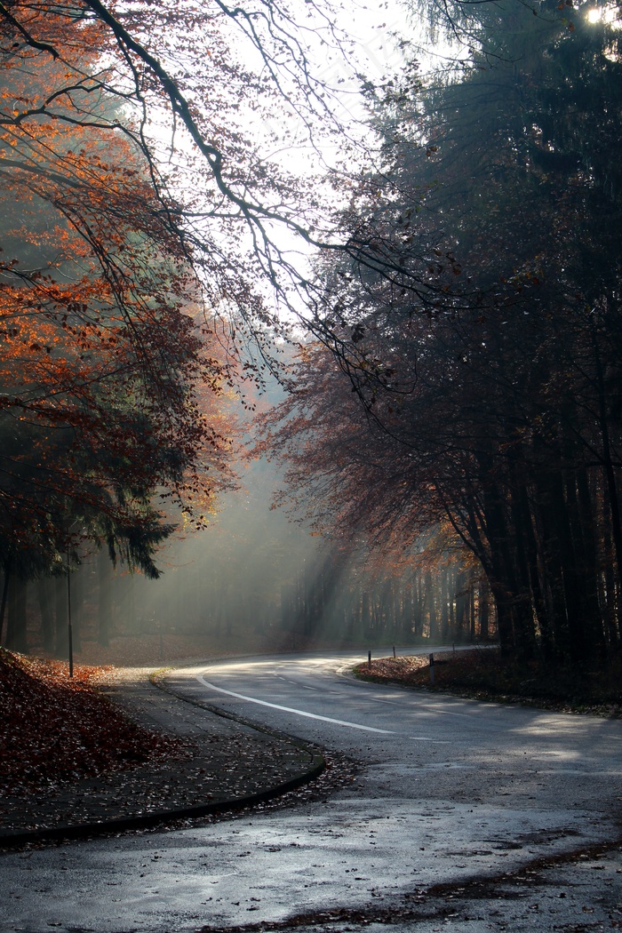 秋景，早晨，阳光，心情，道路，空，秋天的颜色