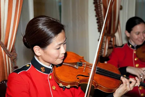 小提琴家,女人,艺术家,音乐家,表演,小提琴 小提琴家,女人,艺术家,音乐家,表演,小提琴