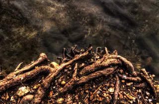 公园，贝德福德，码头，湖，日出