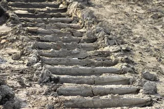 地面，轮胎履带，挖掘机履带，沙子，粘土