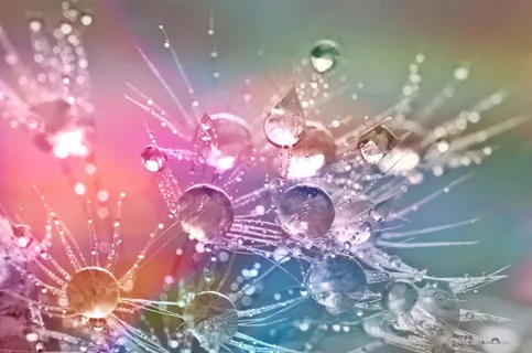 桌面花纹,荧光壁纸,吸顶灯,雪花背景,水滴与蒲公英种子 桌面花纹,荧光壁纸,吸顶灯,雪花背景,水滴与蒲公英种子