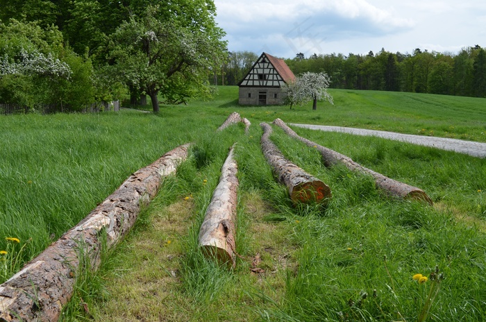 谷仓，茎，春天