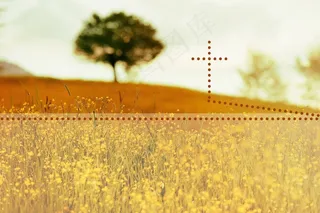 十字架，基督教，基督，耶稣，基督教，教堂