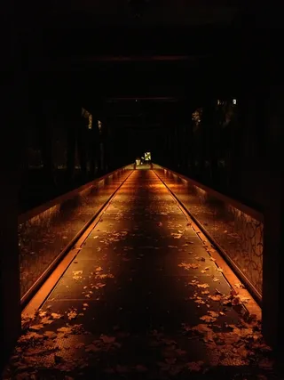 离，桥，走秀，Web，通道，目标，晚上，黑暗