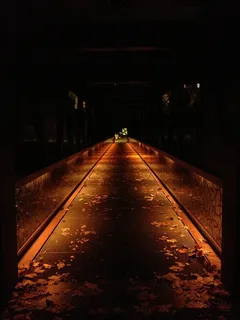 离,桥,走秀,Web,通道,目标,晚上,黑暗 离,桥,走秀,Web,通道,目标,晚上,黑暗