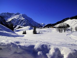 树木，冰，冰，Eiskristalle，弗罗斯特，冻结，天空