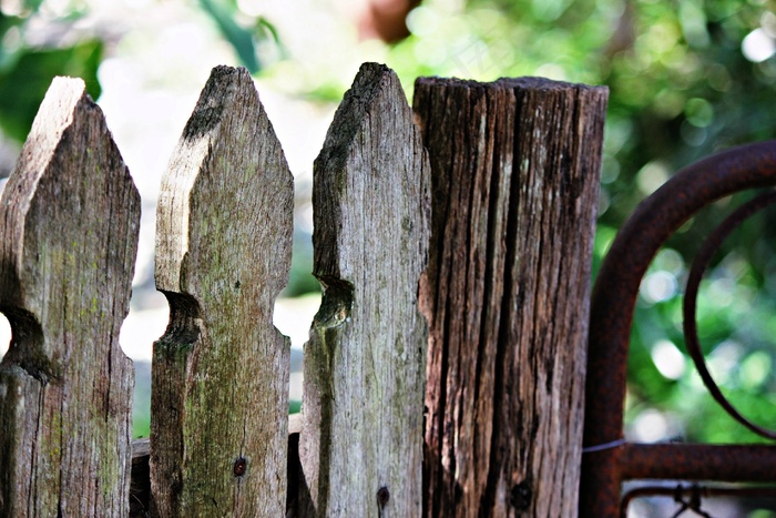 花园，篱笆，木材，老，门，木，木，仿古