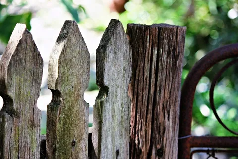 花园，篱笆，木材，老，门，木，木，仿古