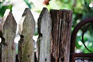 花园，篱笆，木材，老，门，木，木，仿古