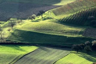 秋季景观，绿色，秋季，景观，丘陵