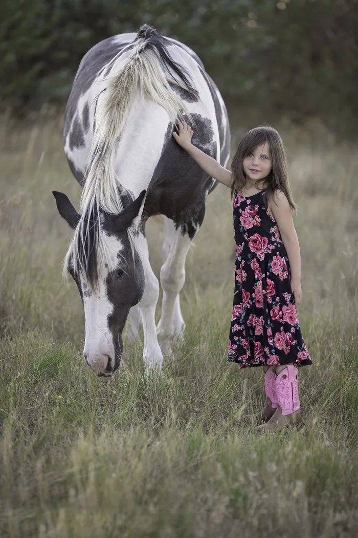 儿童，马，动物，女孩，乐趣，可爱，国家，夏天