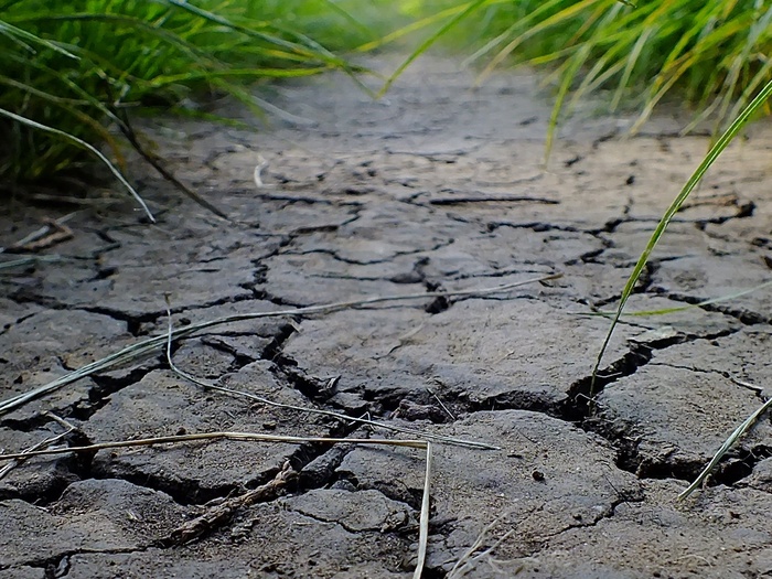 路径，草，绿色，地球，地球的大气