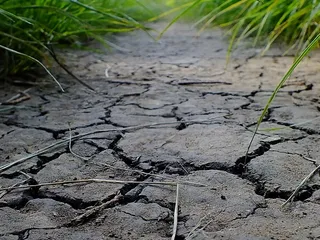 路径，草，绿色，地球，地球的大气