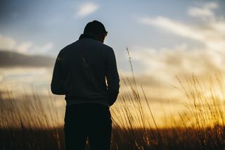 时髦，场，小麦，草，农村，剪影，现场