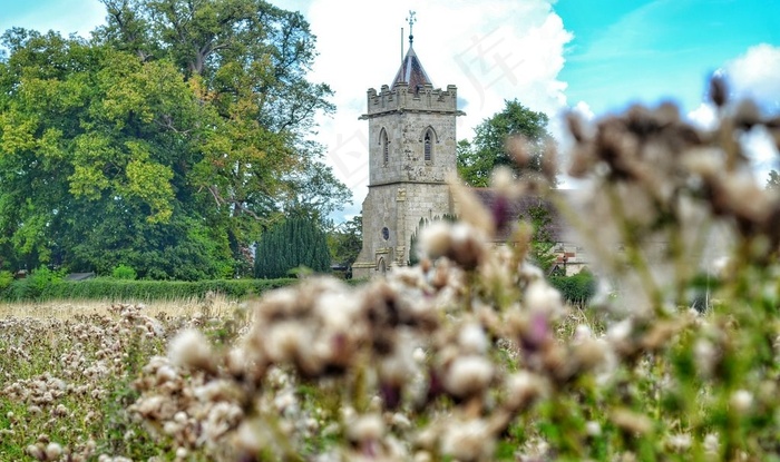 建筑,树,寺塔,荷花,风景,田野里的教堂