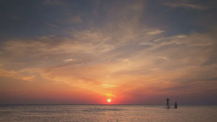 天空,海洋,霞光,湖泊,树,海黎明日落假期