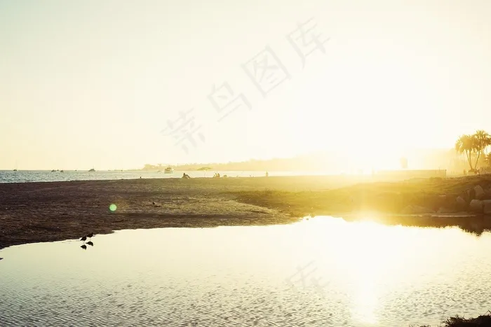 街道,天空,风景,树,轿车,海海岸太阳阳光