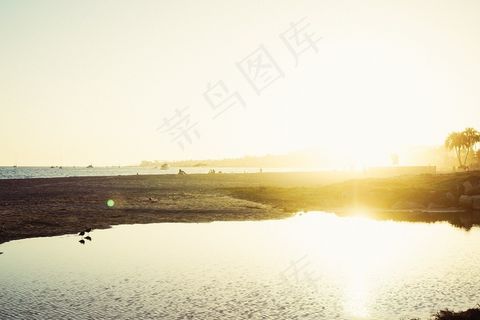 街道,天空,风景,树,轿车,海海岸太阳阳光